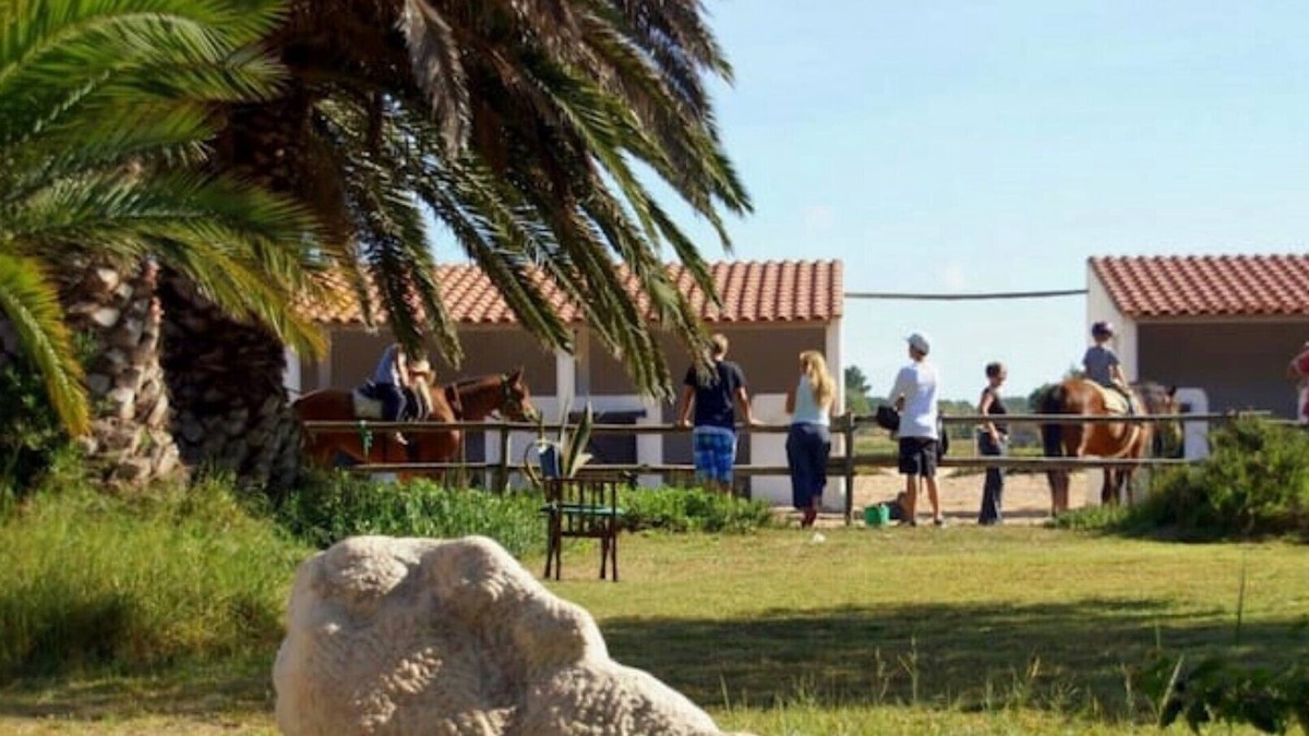 Cavaleiro Cottage | Cozy Cottage in Horse Farm 200m from the Beach