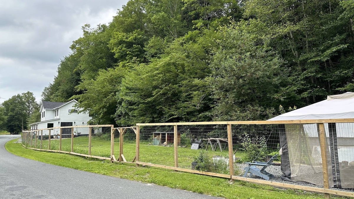 Livingston Manor Cottage | Cozy cottage near Livingston Manor with creek and fenced-in yard. Pet-friendly!