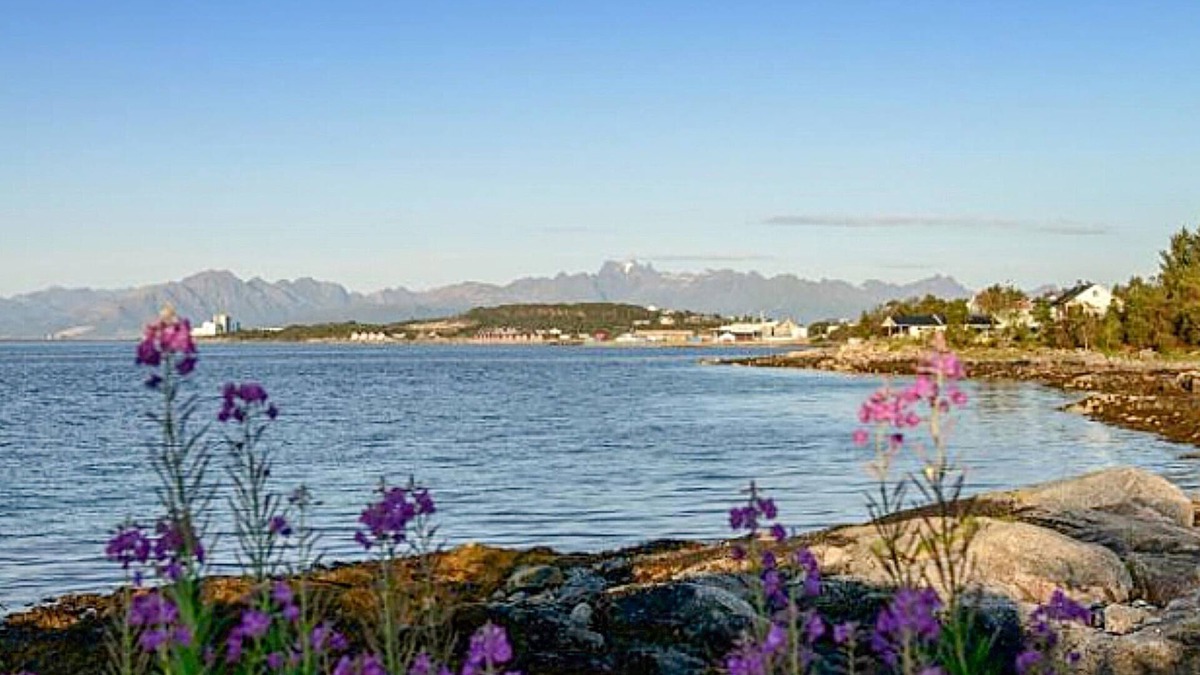 Stokmarknes House | Cozy cottage near the Lofoten Islands.