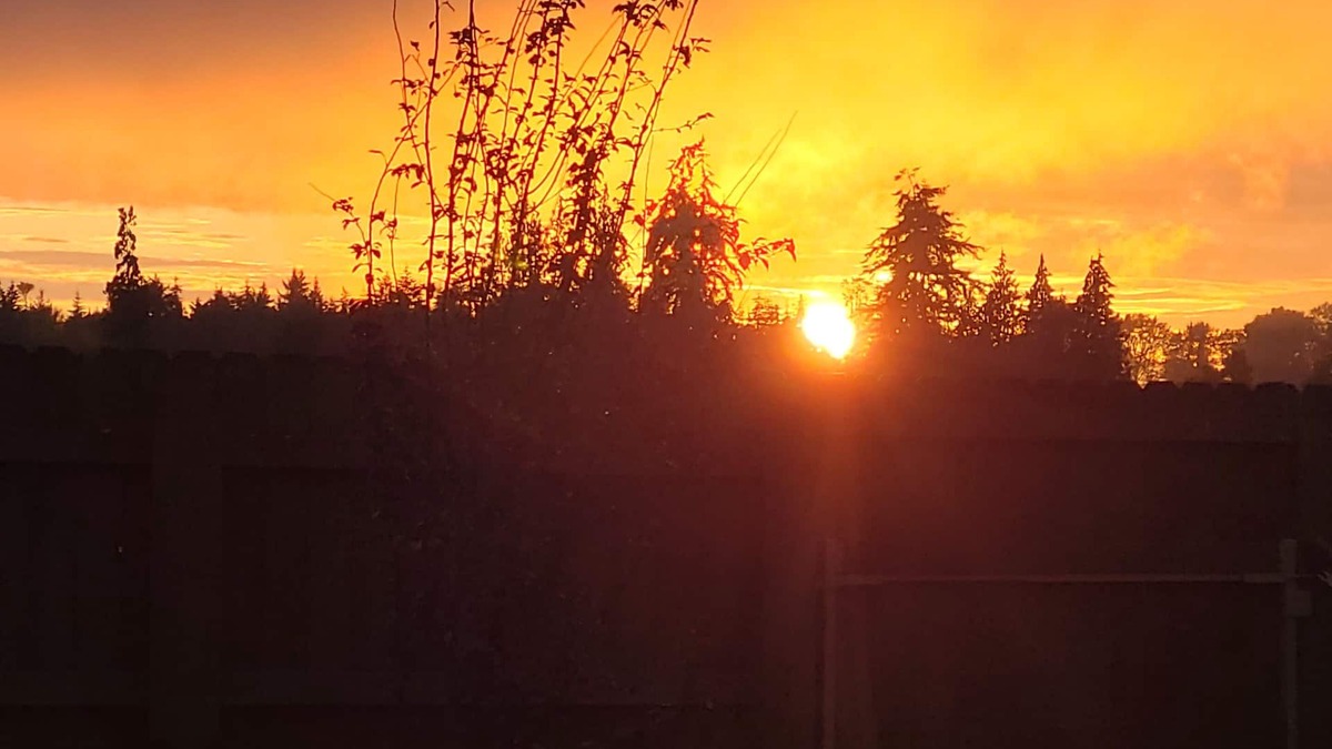 Sequim Apartment | Cozy Cottage Retreat – Private Yard, Sunset Views & Peninsula Access