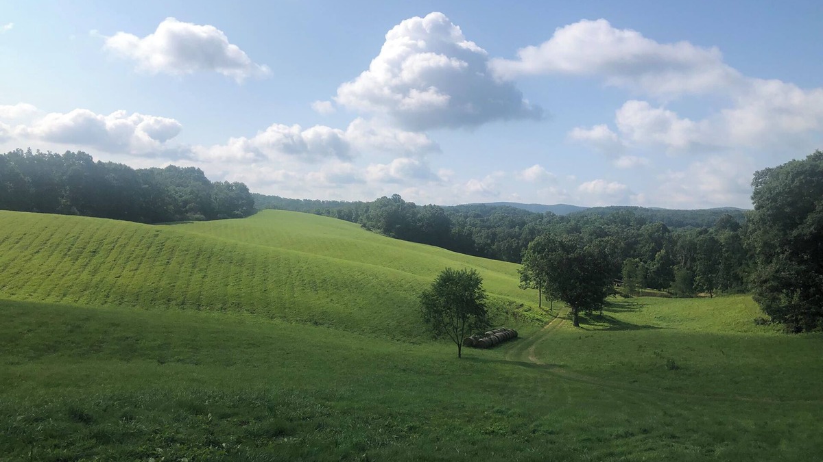 Christiansburg House | Cozy cottage with amazing views just 10 minutes to Blacksburg. Pet-friendly!