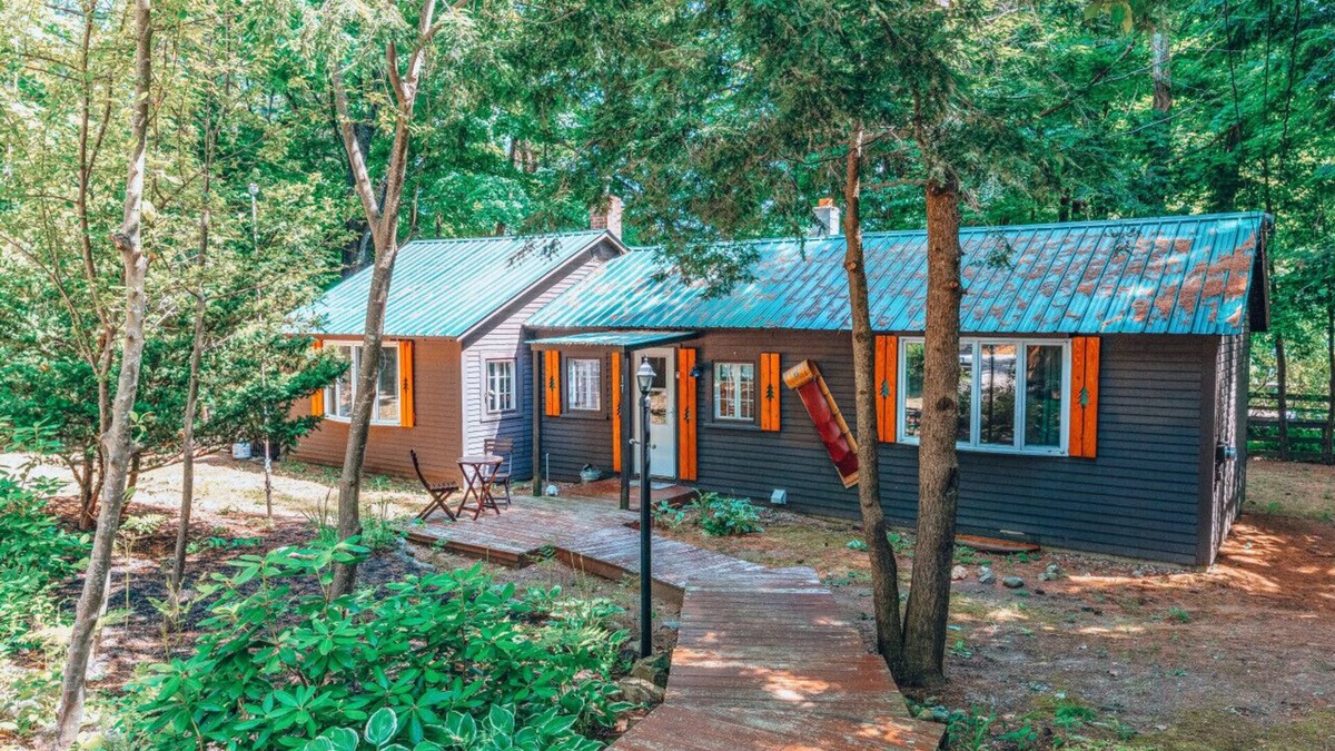 Cranmore Birches Cabin | Cozy dog friendly cabin moments from Cranmore/NOCO
