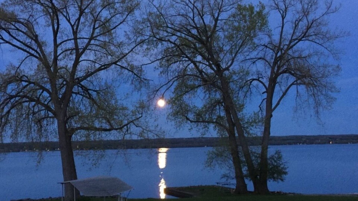 Seneca Falls House | Cozy Dog-friendly Lakefront Vacation Getaway on Cayuga Lake