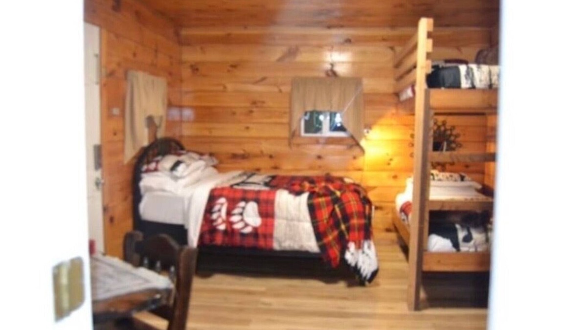 Stanton Cabin | Cozy & Efficient cabin w/river access. Pet Friendly!