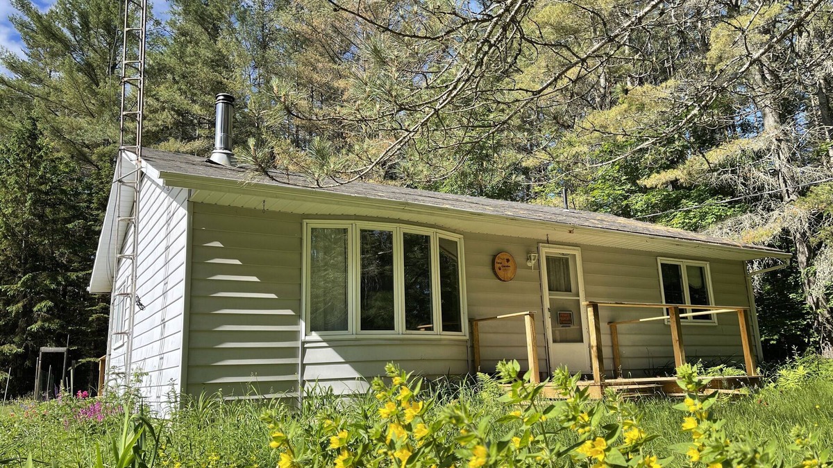 Dysart et al Cabin | Cozy family cabin in the forest