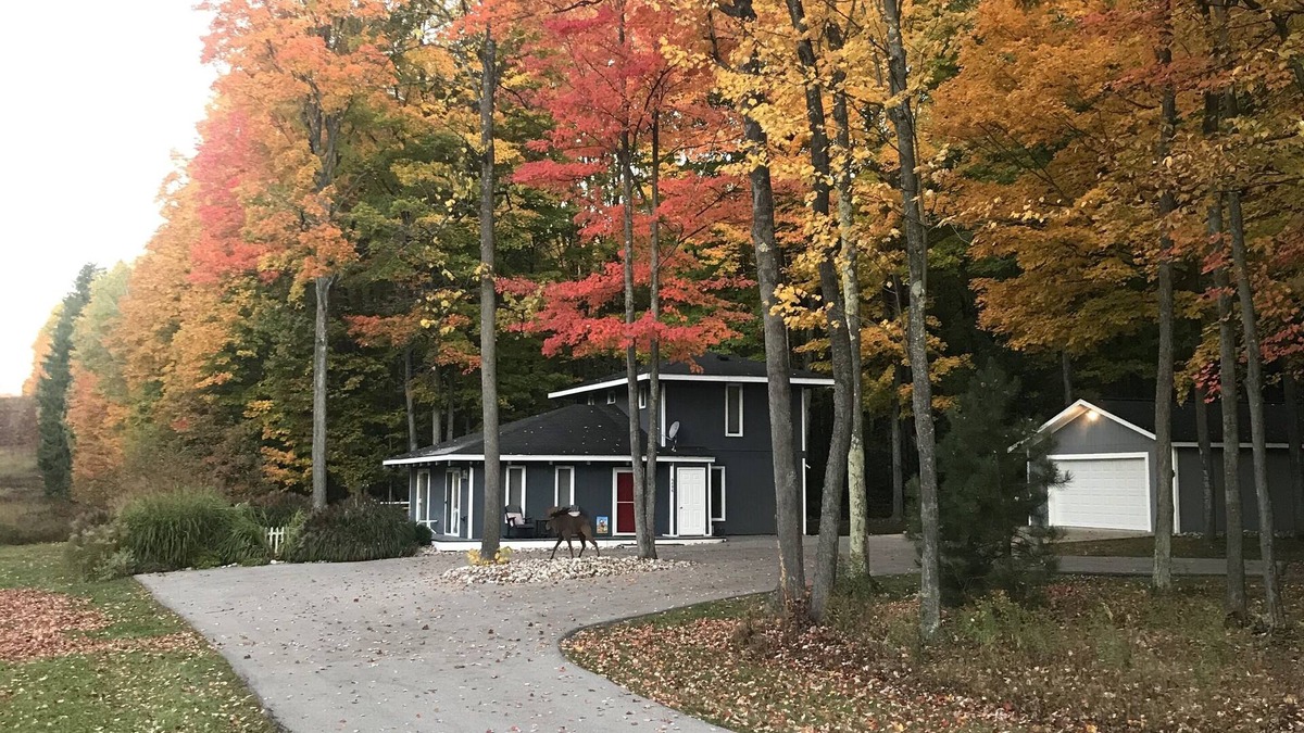 Bellaire Ski Chalet | Cozy Family Cabin in Schuss Village-Book now for Winter Fun!
