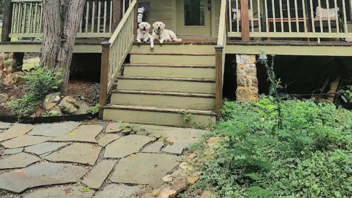Leesburg Cottage | Cozy Farm Cottage on secluded 14 acre farm on the outskirts of Leesburg