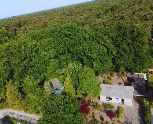 Luyksgestel Apartment | Cozy Forest Cabin, Fenced Garden, Peace & Privacy