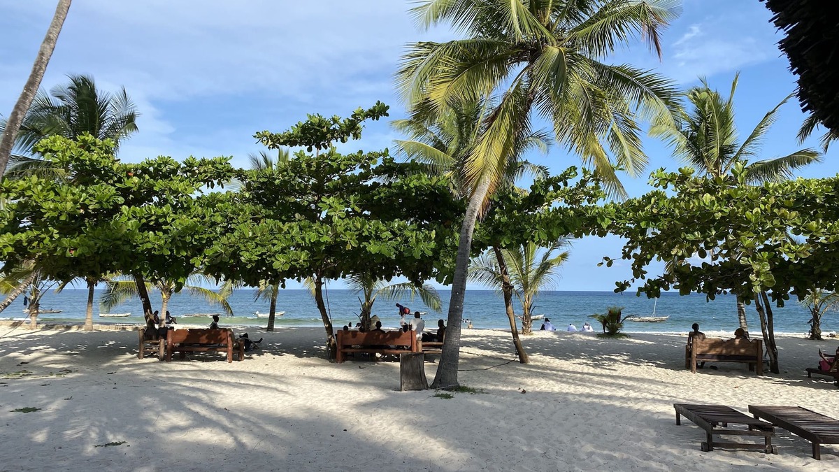 Diani Beach Apartment | Cozy froant beach studion