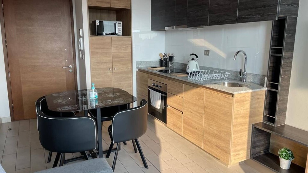 Concepcion Apartment | Cozy fully equipped apartment in the center of Concepción.