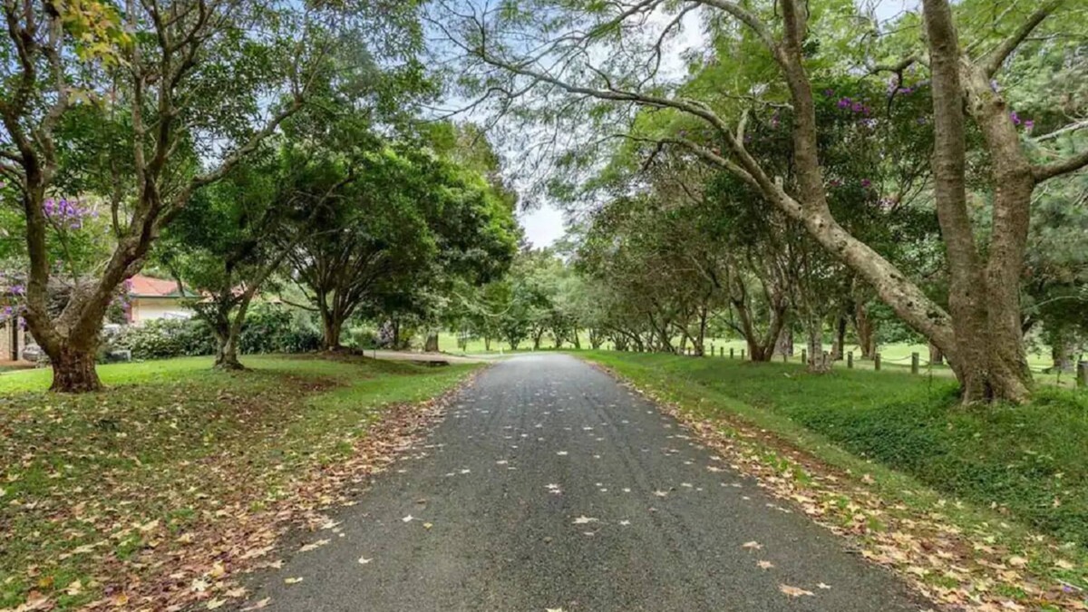Mount Tamborine Apartment | Cozy Golf Course Retreat in tranquil Tamborine Mountain with WiFi, AC