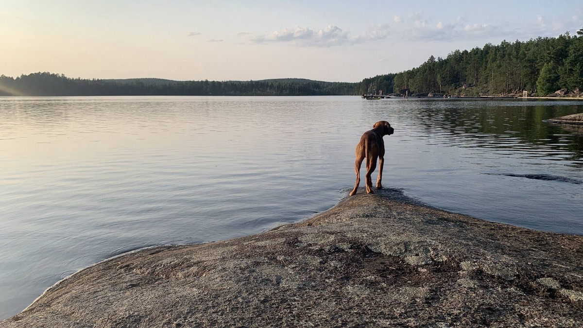 Hultsfred Municipality House | Cozy holiday home in beautiful Småland