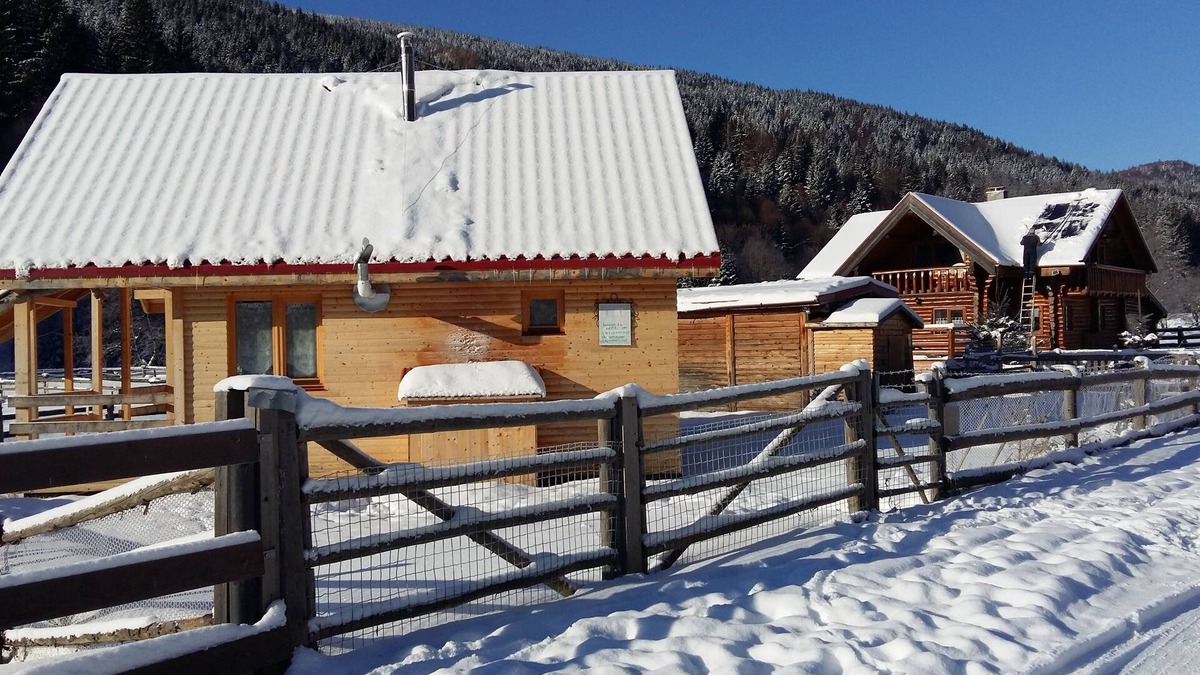 Zarnesti House | cozy holiday home in Transylvania - Carpathian - Transylvania