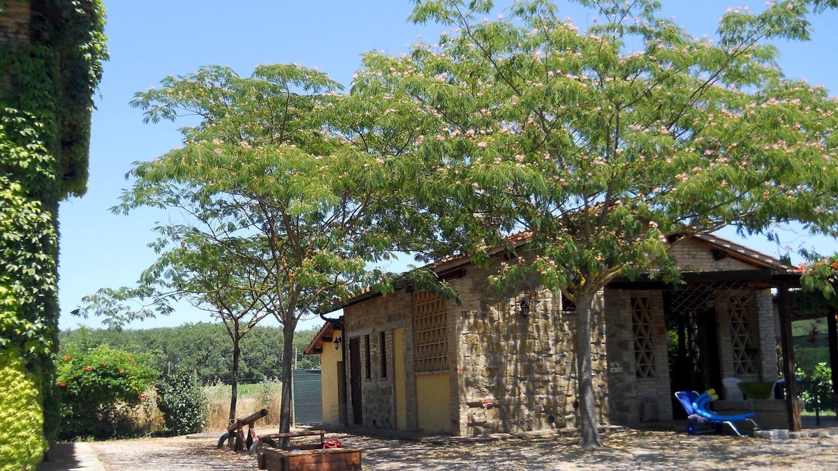 Torgiano House | Cozy holiday home with pool in a wine estate. Free WIFI; free vegetable garden