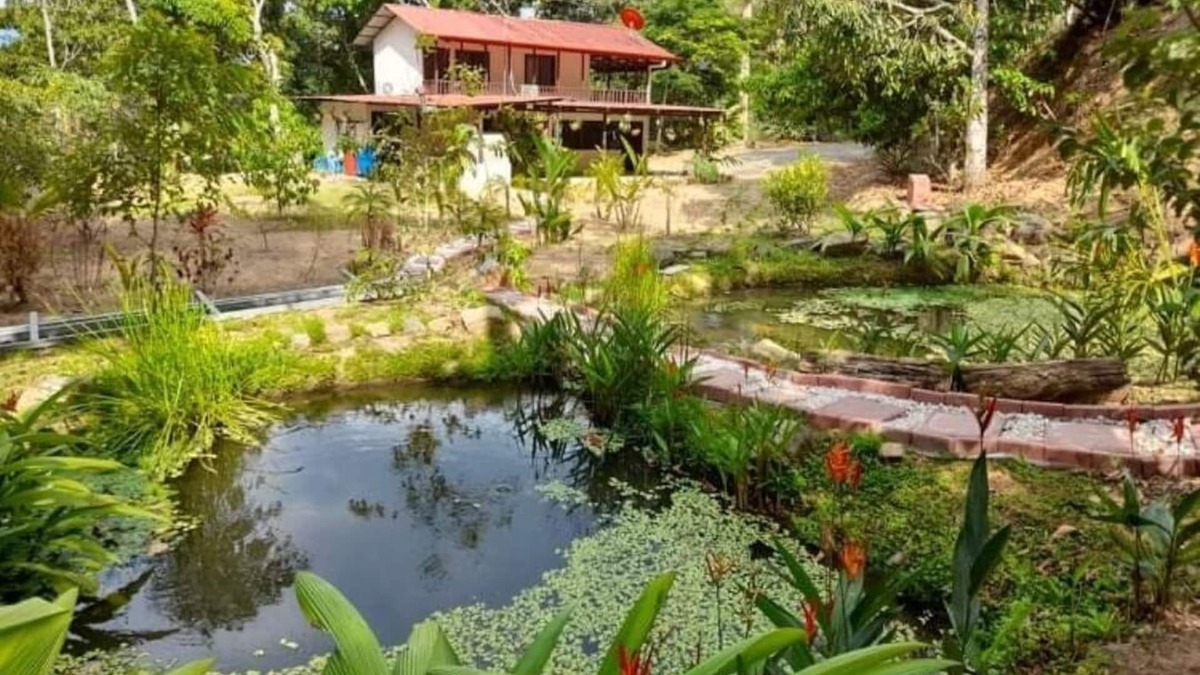 San Isidro de El General House | Cozy Home with waterfall near beach