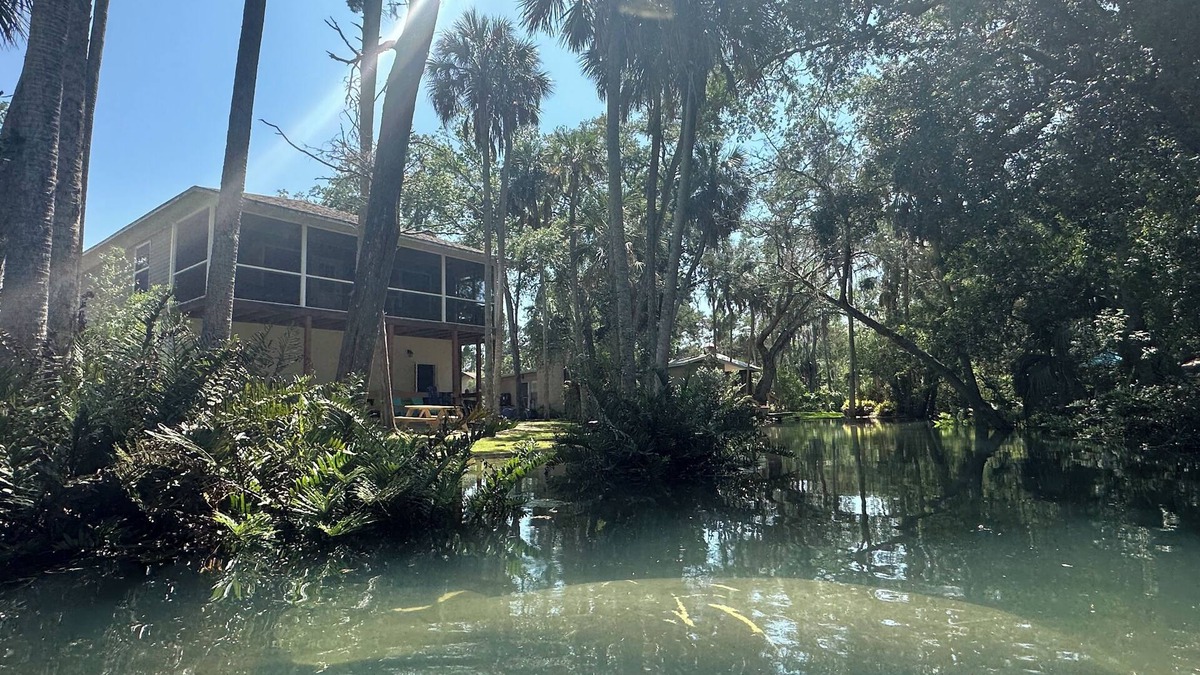 Brooksville House | Cozy home, beautiful views & swimming in a spring fed river among a wooded yard
