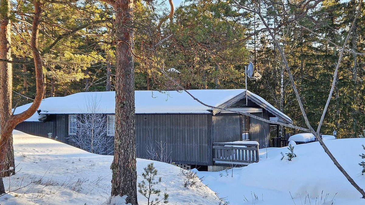 B House | Cozy home in Bø i Telemark