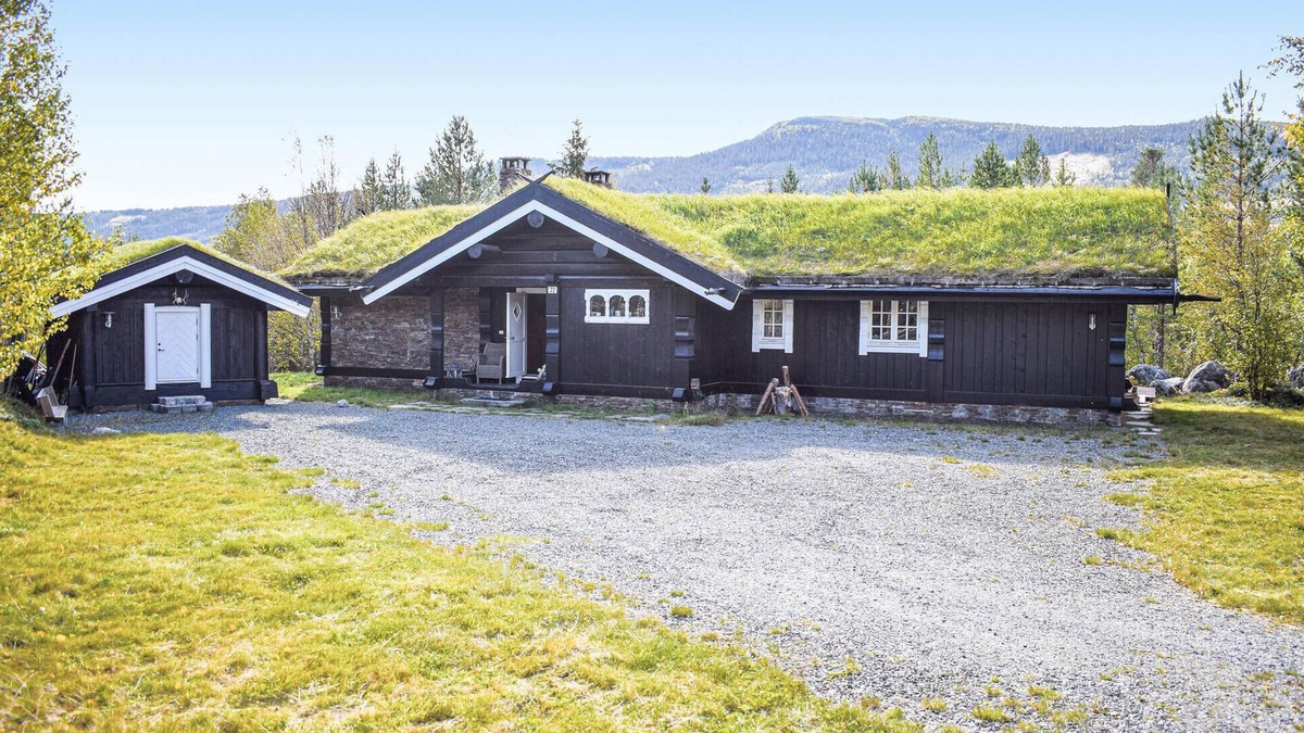 Gol Municipality House | Cozy home in Hemsedal with kitchen