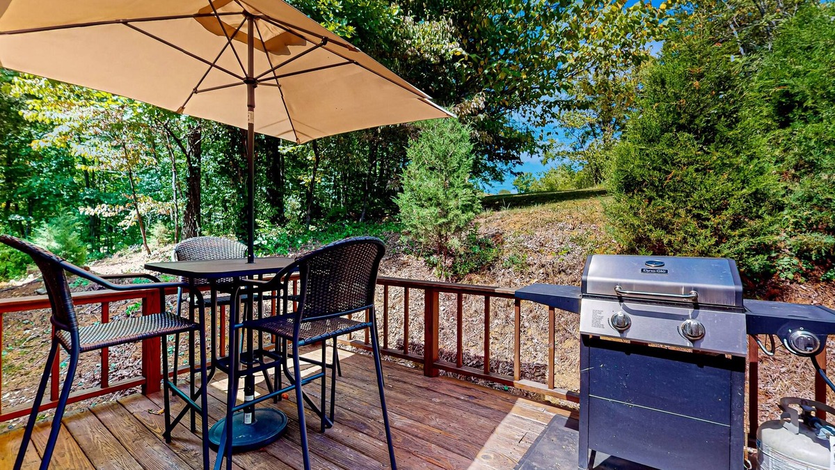 Kodak Cabin | Cozy home w/large yard, games, close to Douglas Lake - free attraction tickets