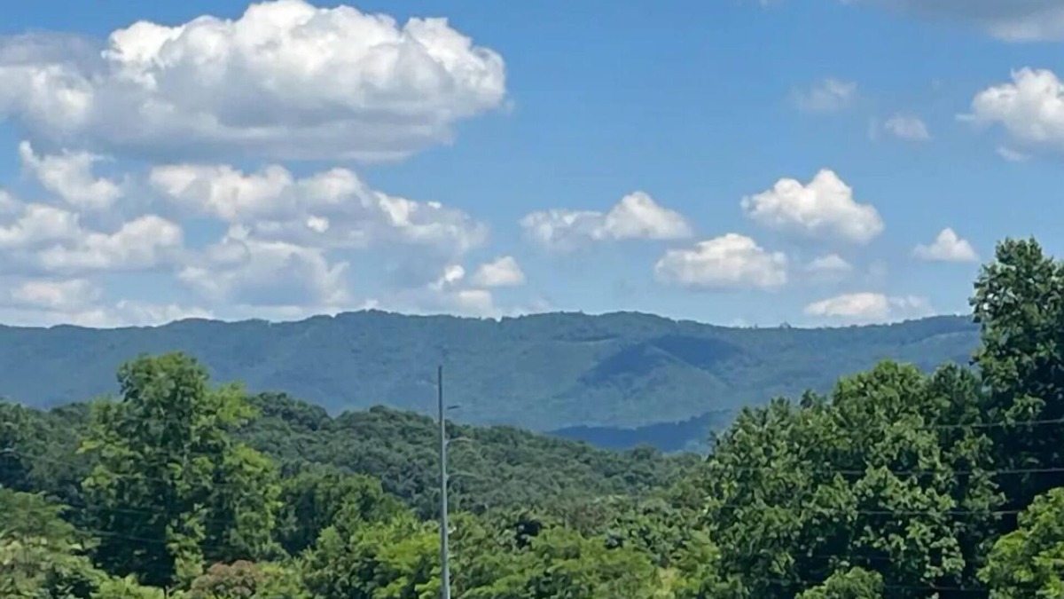Newport House | Cozy home with Mountain Views! Pet friendly!