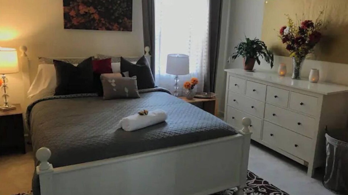 Bethesda Apartment | Cozy, homey, cute place walking to train and buses