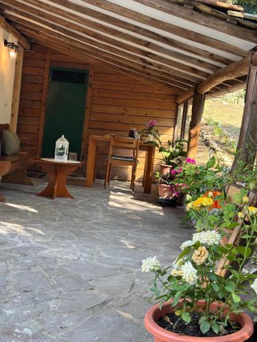 Castelnuovo Berardenga House | Cozy house in the Chianti region