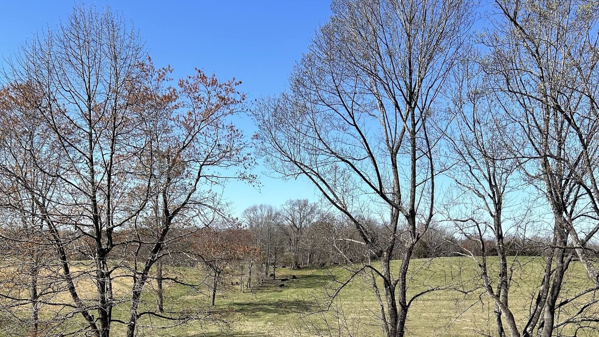 Appomattox House | Cozy House on the Farm