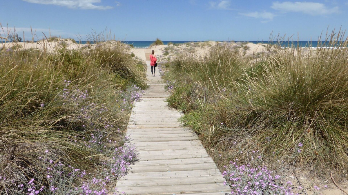 Molinell House | Cozy house, right on the beach and on the golf course in a quiet urbanization