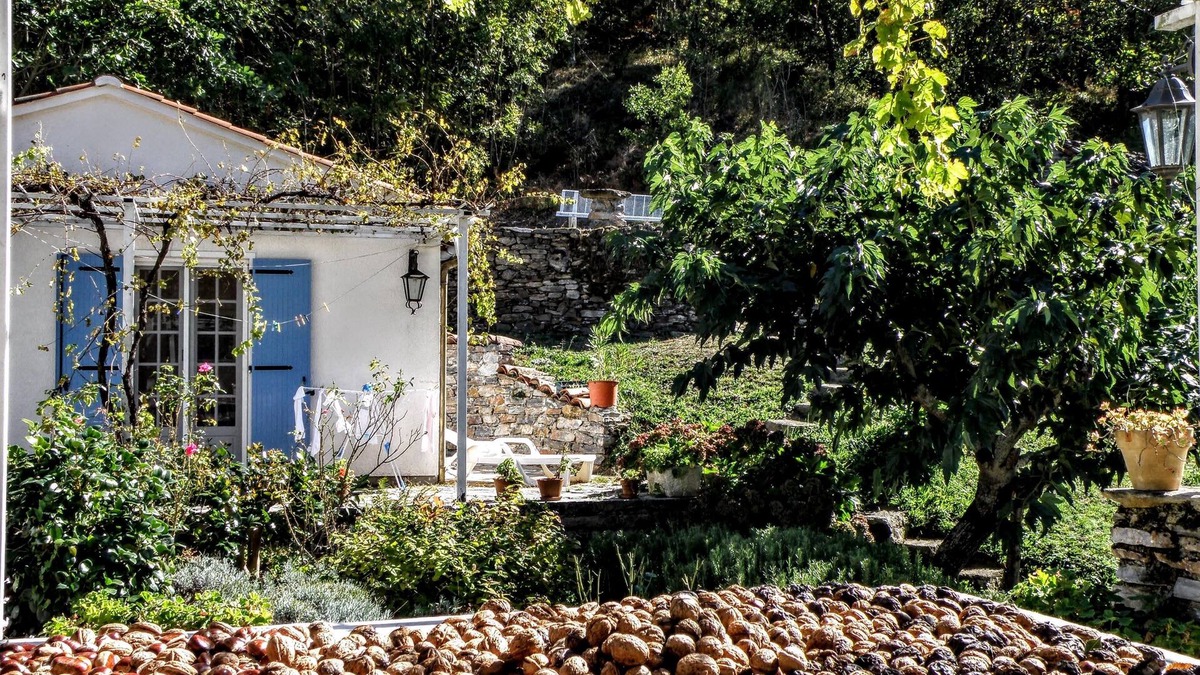 Courniou House | Cozy house with swimming pool surrounded by nature's beauty