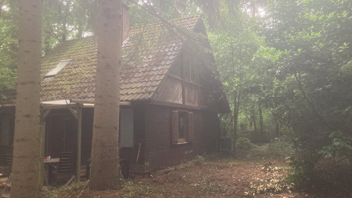 Sandhatten Cabin | Cozy hut on an idyllic forest property
