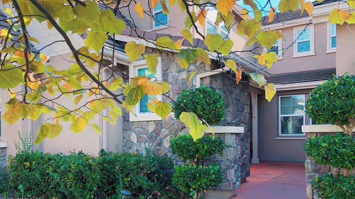 San Ramon Apartment | Cozy King 1B1b in great Tri-Valley Area