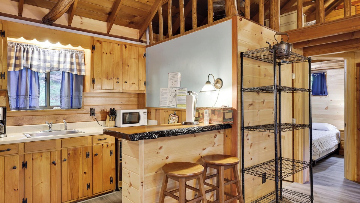 Greentown Cabin | Cozy Lake Cabin 3 with Boatdock
