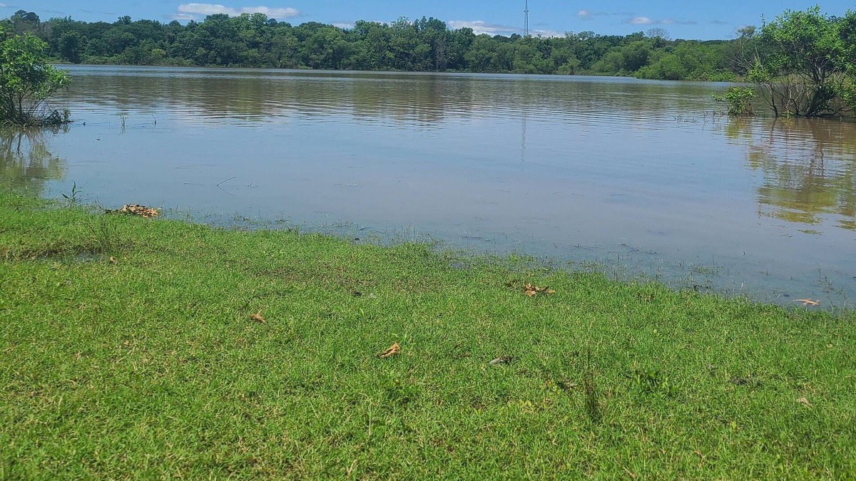 Checotah House | Cozy lake retreat! Short walk to community beach and boat ramp! +2 kayaks!