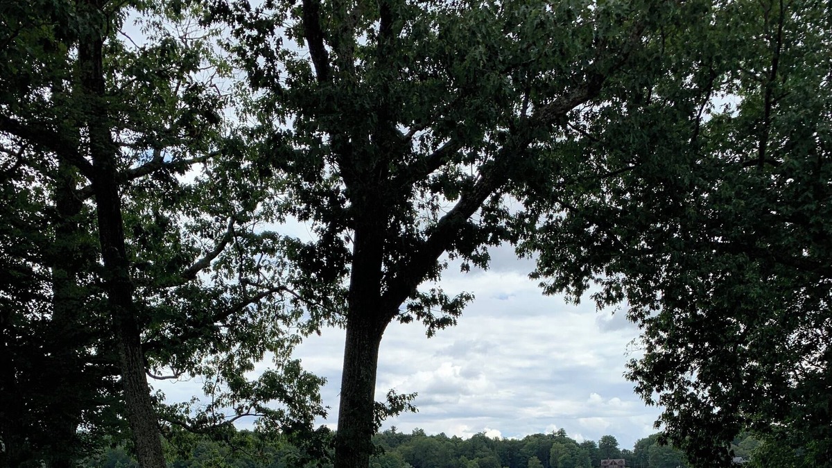 Fosterdale Apartment | Cozy Lake View Apartment in Lake Huntington