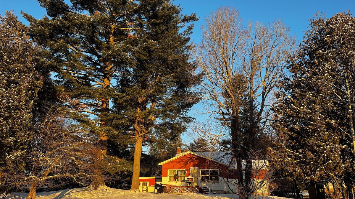 Champion Cabin | Cozy Lakefront Cabin. Experience the true beauty of an untouched UP.