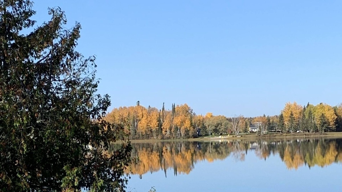 Moonbeam Cottage | Cozy LAKEFRONT Cottage on Remi Lake