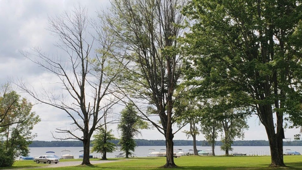 Westford Apartment | Cozy Lakefront on Pymatuning with Dock and EV Power