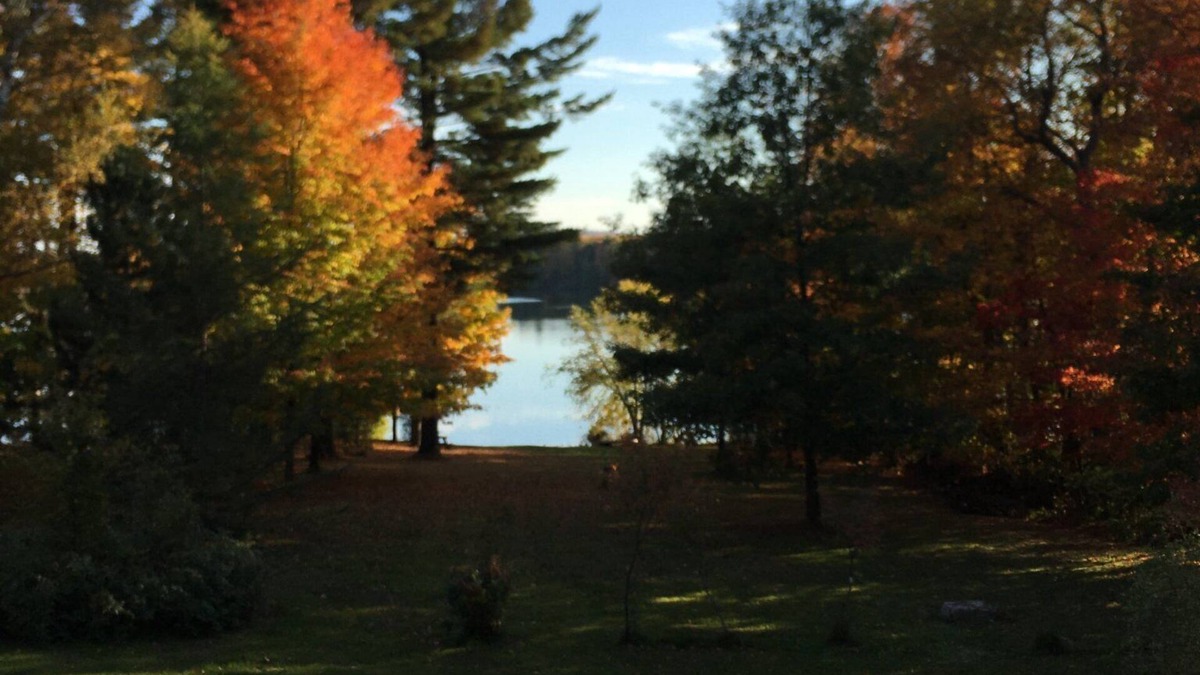Derby Cabin | Cozy lakeside cabin with AC and WiFi . 240 ft private beach and dock