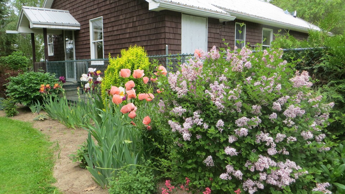 Isle La Motte House | Cozy lakeside cottage.