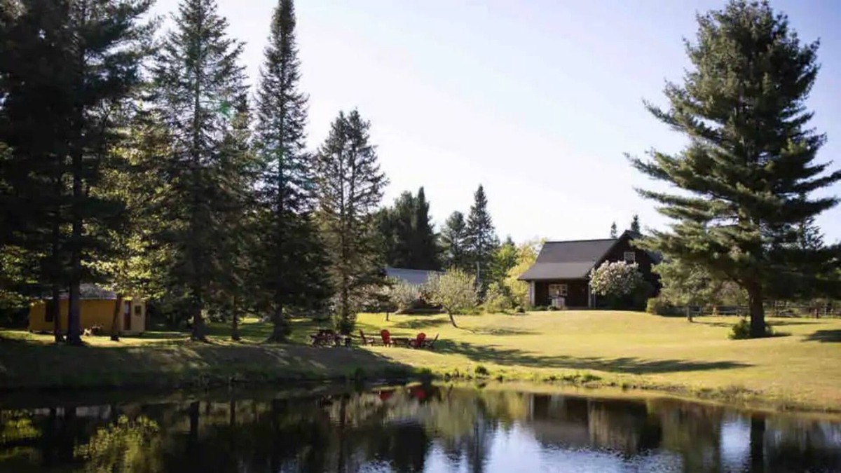 Hancock Cabin | Cozy Log Cabin: Great for Families, Near Trails
