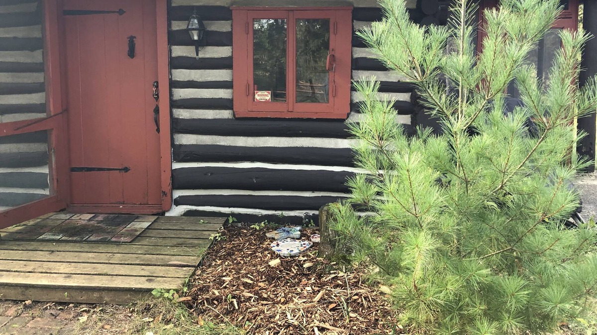 Bitely Cabin | Cozy log cabin on the banks of the Little South Branch, Pere Marquette River