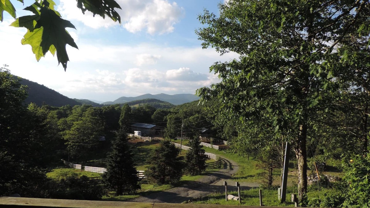 Boone House | Cozy log Guesthouse on Ranch w Mtn Views