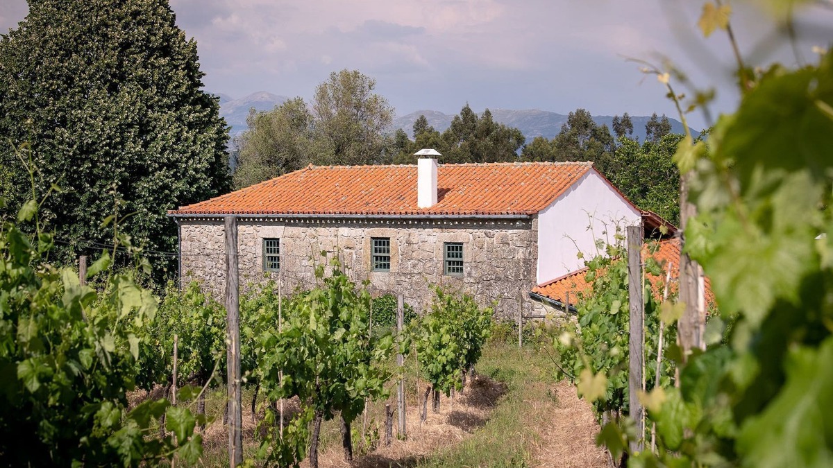 Santa Cruz do Lima Villa | Cozy Mansion in Ponte de Lima with Swimming Pool