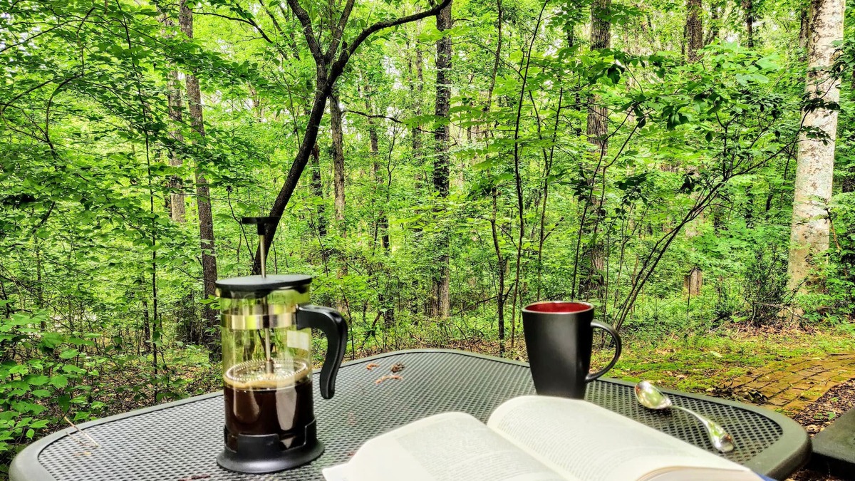 Milton Apartment | Cozy Milton Guest Suite with Private, Wooded Patio & Kitchenette