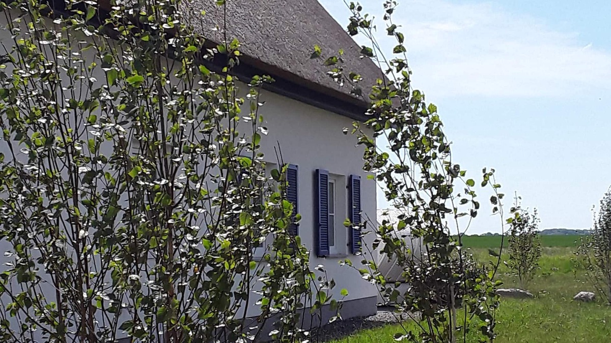 Trent Villa | Cozy, modern, child-friendly vacation home with large garden