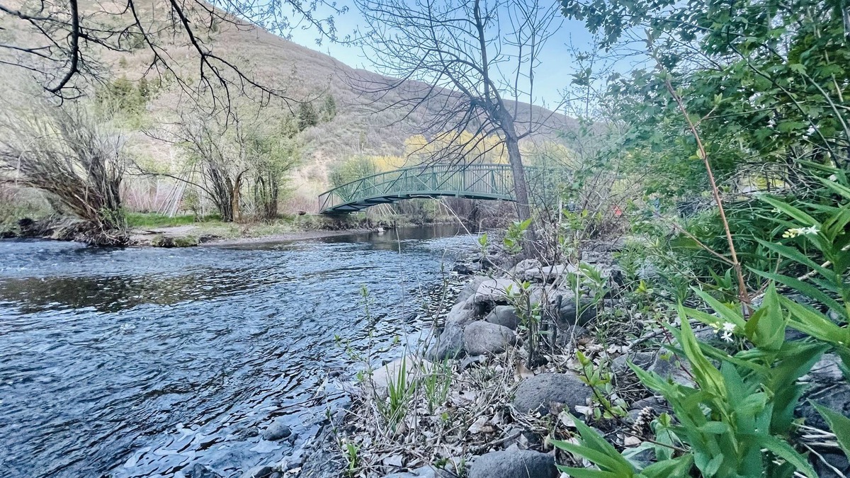 Carterville Cabin | Cozy Mountain Cabin on the River
