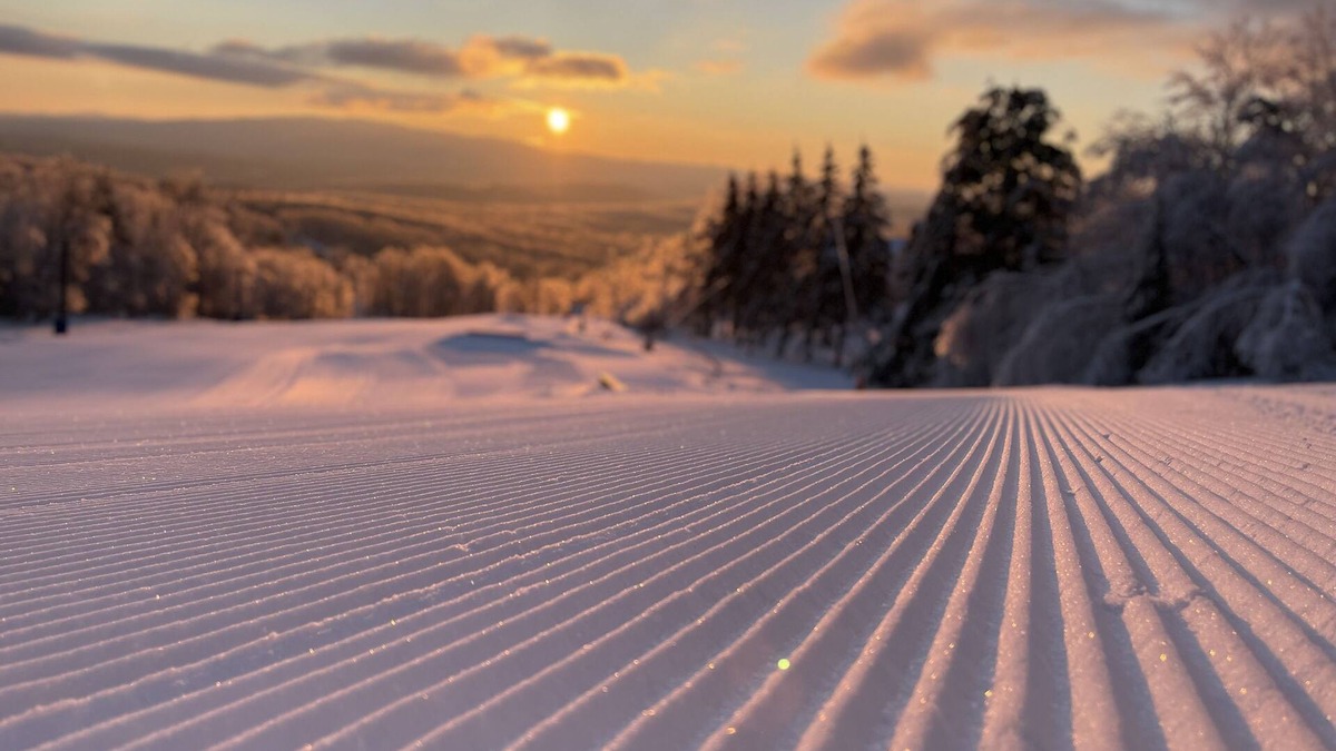 Bromley Mountain Condo | Cozy Mountain Condo - True Ski in Ski out