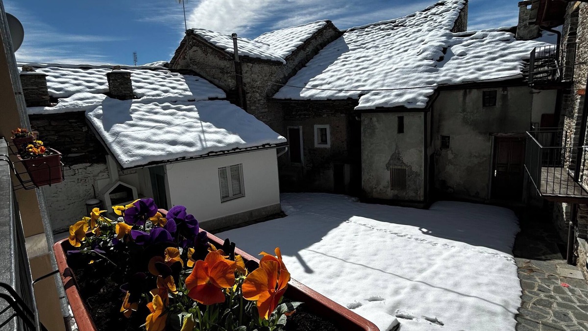 Frassinetto Apartment | Cozy mountain house, surrounded by unspoiled nature