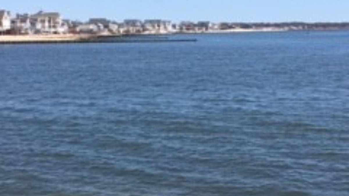 Westbrook Center Cottage | Cozy Nantucket Style Cottage, mins walk to private beach.