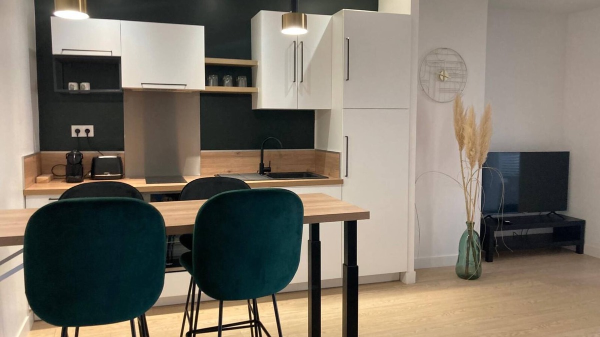 Centre Ville Apartment | Cozy Niort Obsidian Green - Appartement type 2